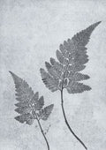 Dusty Blue Fern Print A5 Postcard