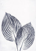 Ink and Grey Hosta Print A5 Postcard